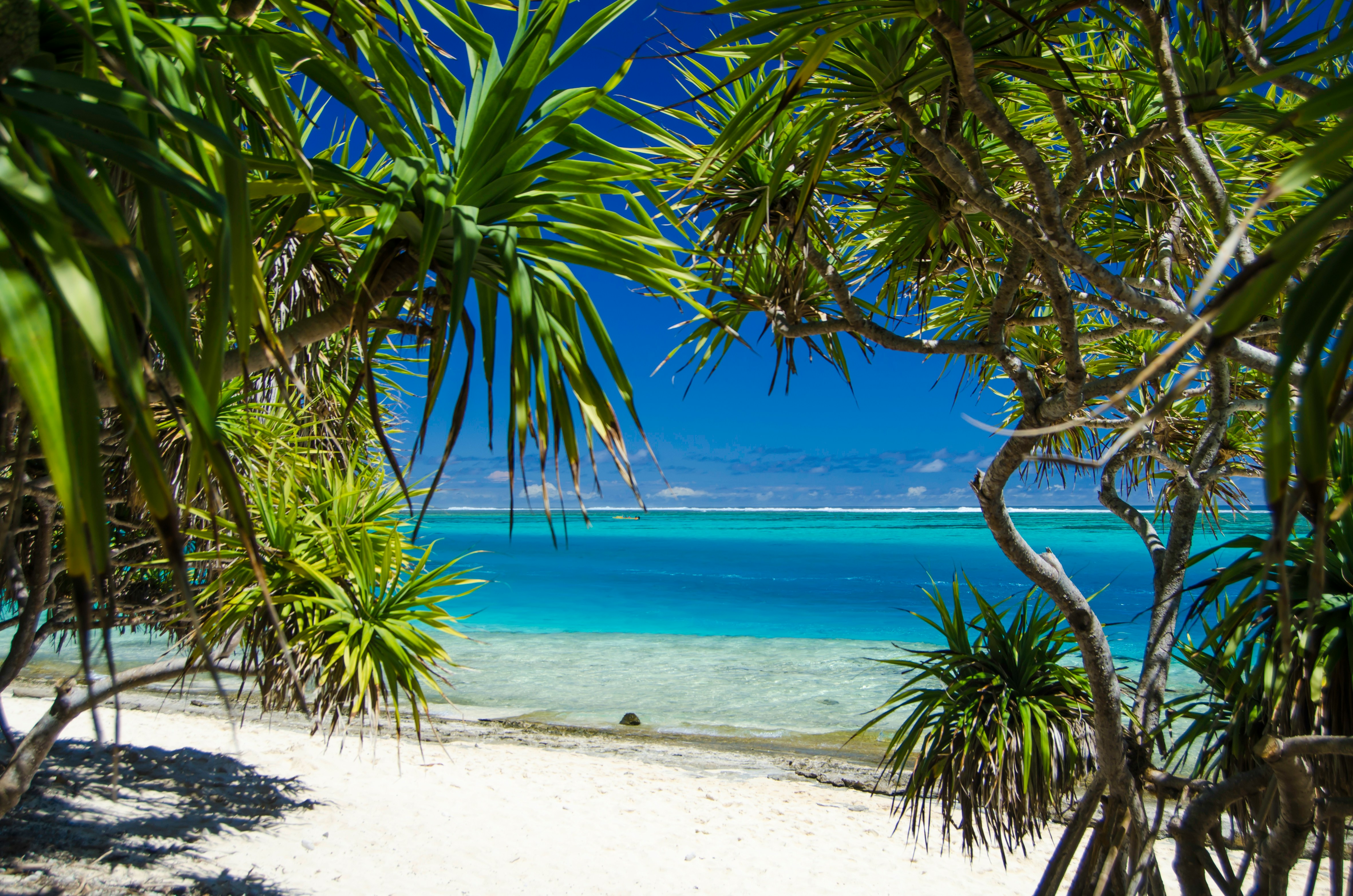2027 South Pacific Embroidery Cruise